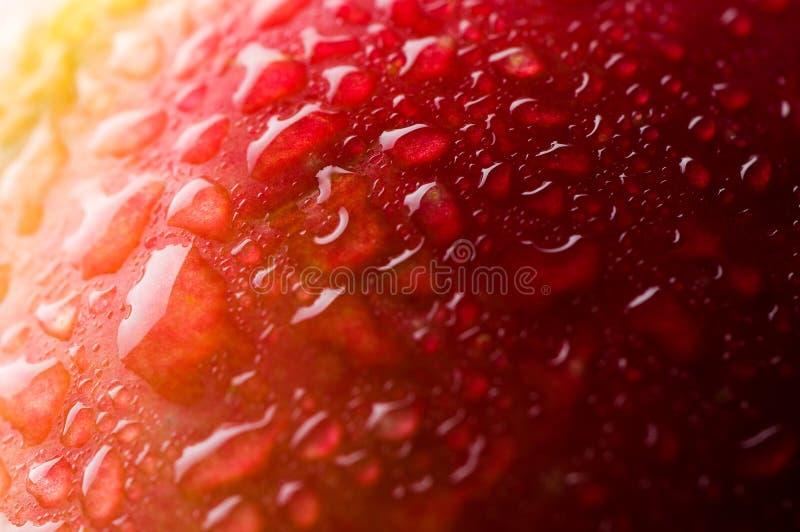 Red apple with water drops