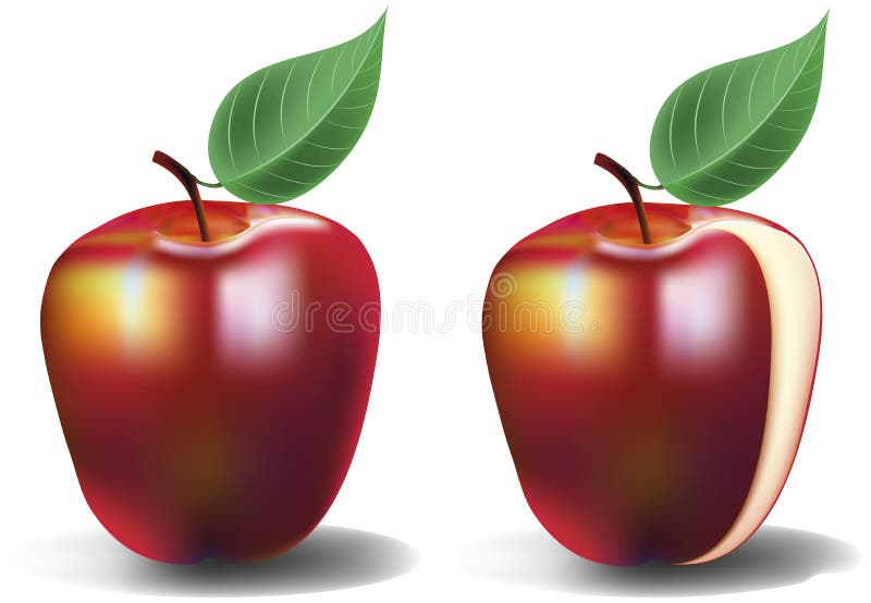 Cut Out Apple Stock Illustrations 615 Cut Out Apple Stock