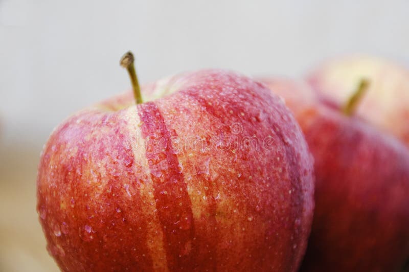 Red apples stock photo. Image of colorful, braeburn, fresh 15162866