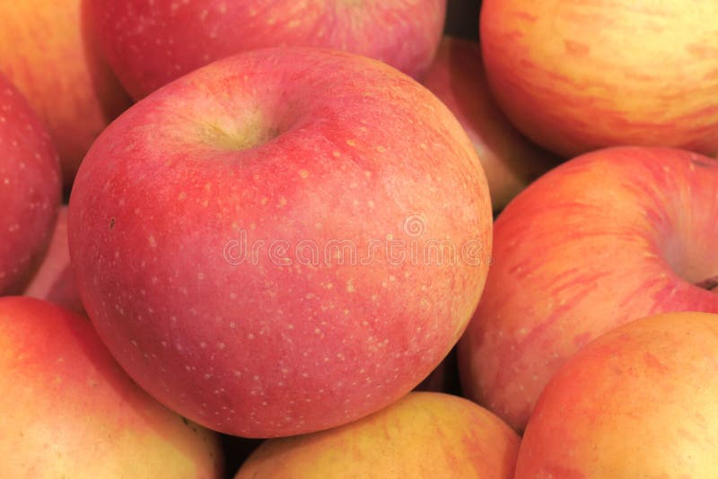 The close-up of fresh red apples