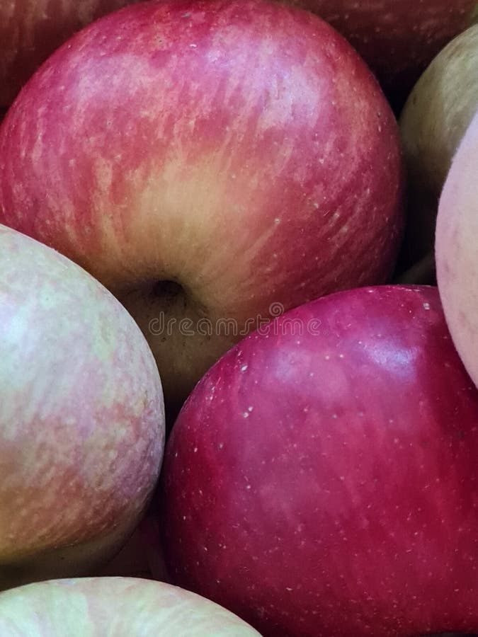 Red apples detail stock photo. Image of violet, lilac 267615264