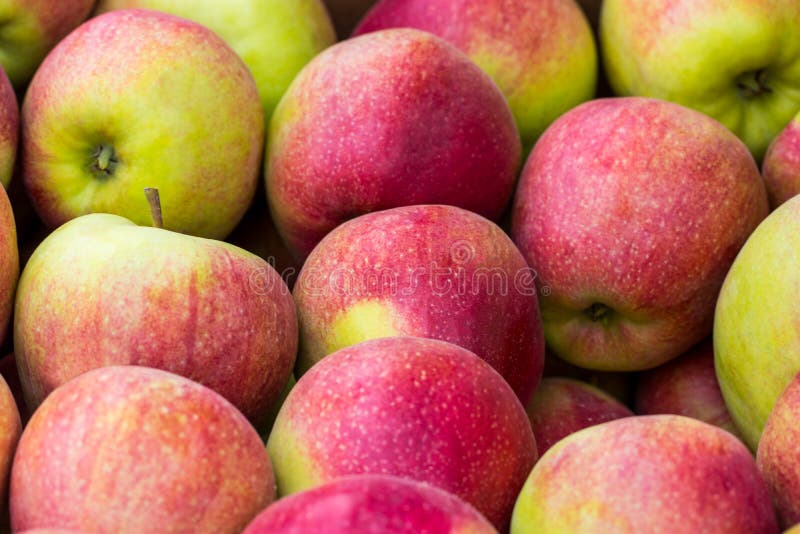 Red apples green apples. Group of red apples stock image