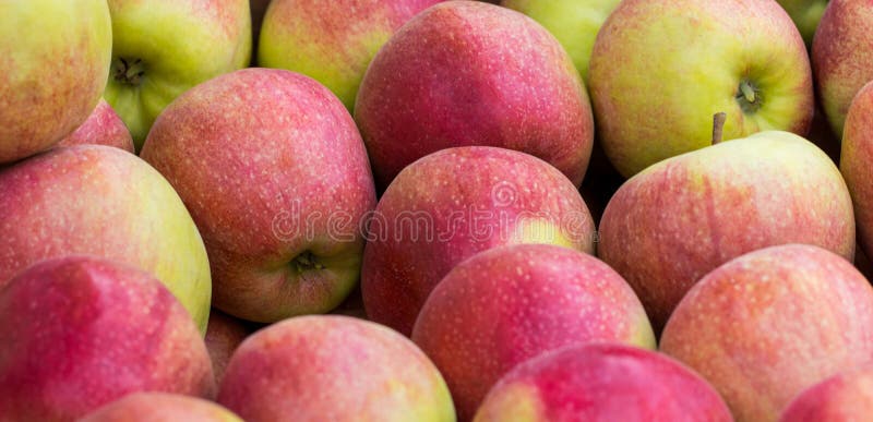 Red apples green apples. Group of red apples stock photo