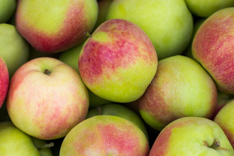 Red apples green apples. Group of red apples royalty free stock photography