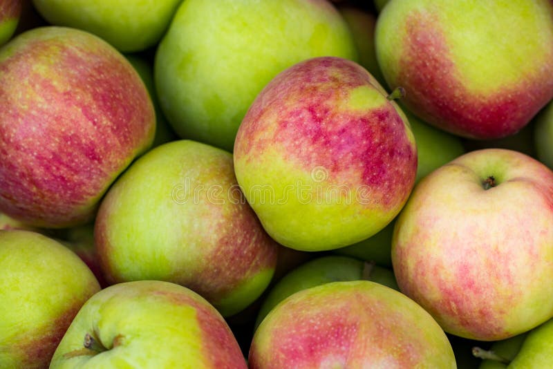Red apples green apples. Group of red apples stock image