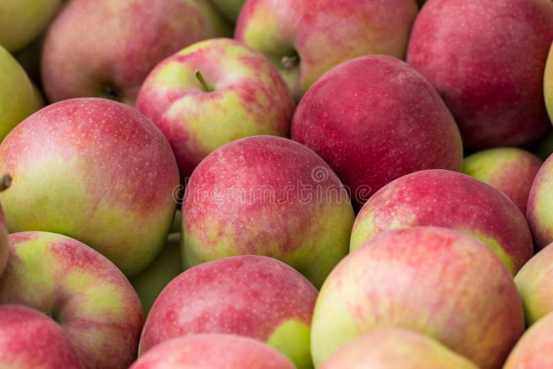 Red apples green apples. Group of red apples stock photography