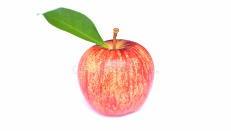 Red apples, green leaves Placed on a white background. ​ royalty free stock photo.