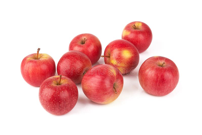 Red apples isolated stock photo. Image of agriculture 129730548