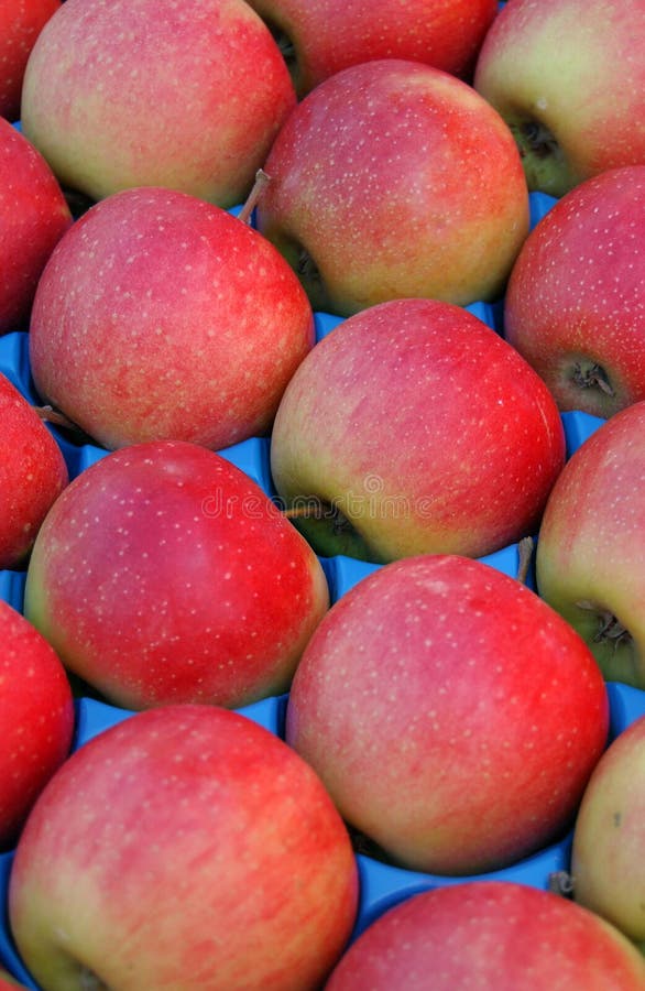 Red apples in a market stock image. Image of fresh, healthy 40721307