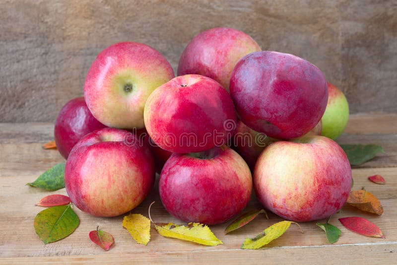 Raw Organic Red Mcintosh Apples Stock Photo - Download Image Now