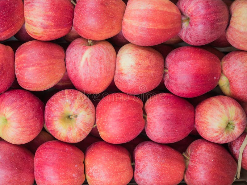 Red Apples on Sale at the Market Stock Photo Image of natural, sweet