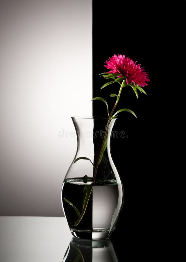 Red flower in vase over black and white background. Red flower in vase over black and white background