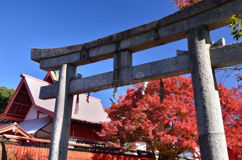 Red autumn leaves and shrine s Torii gate, Kyoto Japan.