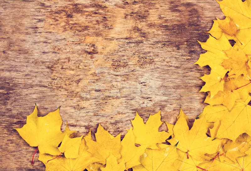 Red Autumn Leaves on a Wooden Background. Frame of Autumn Leaves Stock