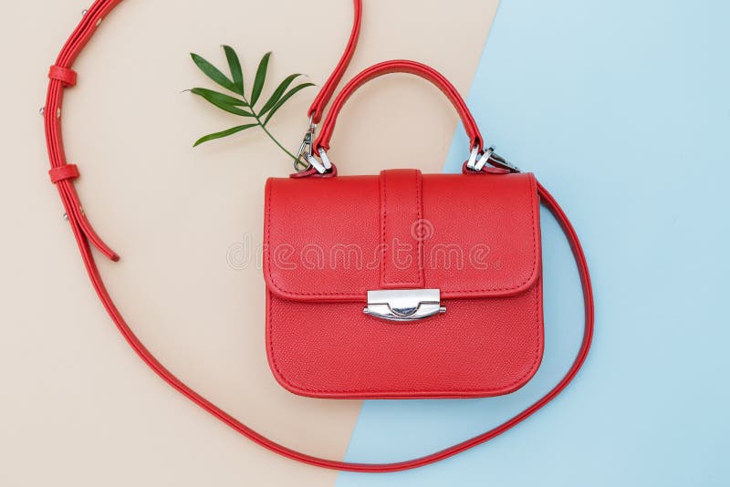 Red Bag on the Light Blue Background Stock Image Image of design