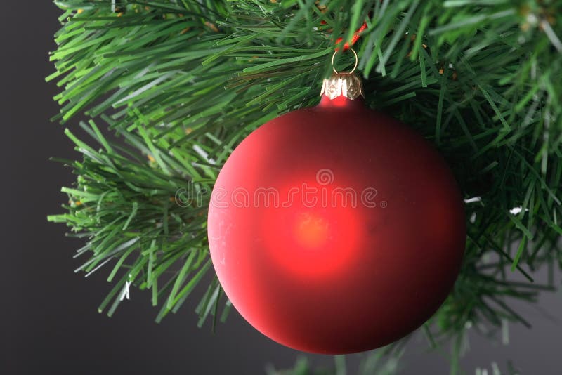 Red ball hanging from christmas tree