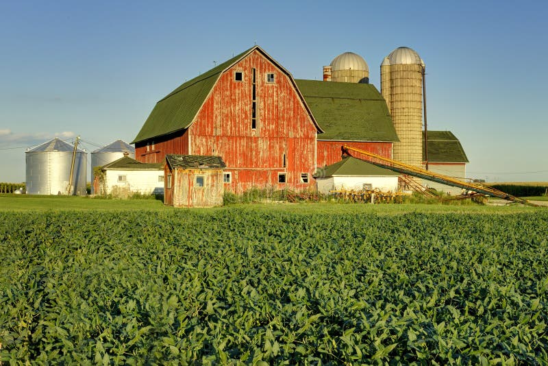 Red barn and bean field stock image. Image of farm, barn 20835857