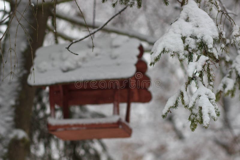 Birdhouse On A Tree In Forest Park Hand Wood Shelter For Birds