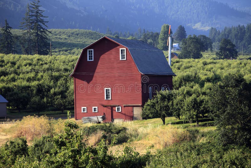 Red barn & orchards.