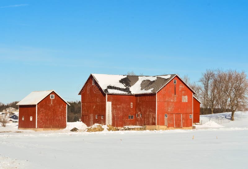 Red Barn and Outbuildings in Winter Countryside with Snow