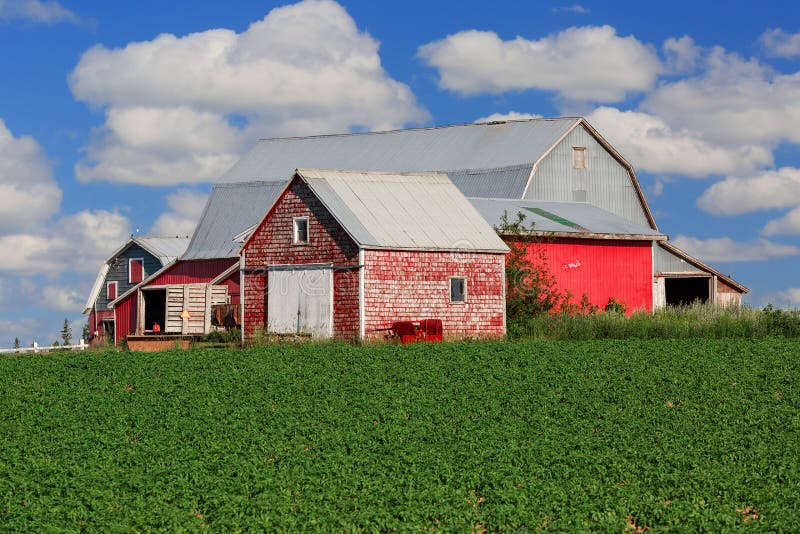 Red Barns stock photo. Image of agriculture, landscape 99374336