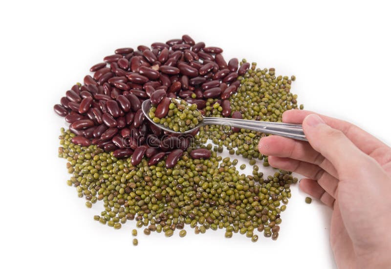Red Bean and Green Bean in a Spoon Stock Photo Image of background