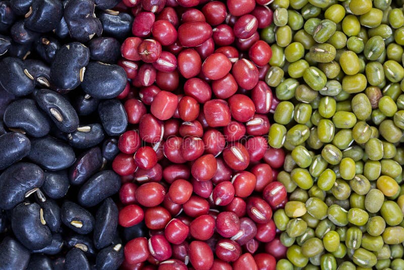 Red Beans, Green Beans, Black Beans Arranged in a Vertical Row. Stock