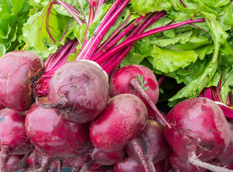 Red Beets. Fresh red beets at the farmers market royalty free stock photography