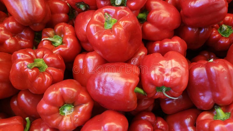 Red bell pepper or capsicum royalty free stock images Red bell pepper or capsicum royalty free stock images