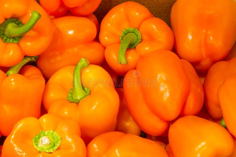 Red Bell Peppers. Grocery Store Stock Image Image of food, vibrant