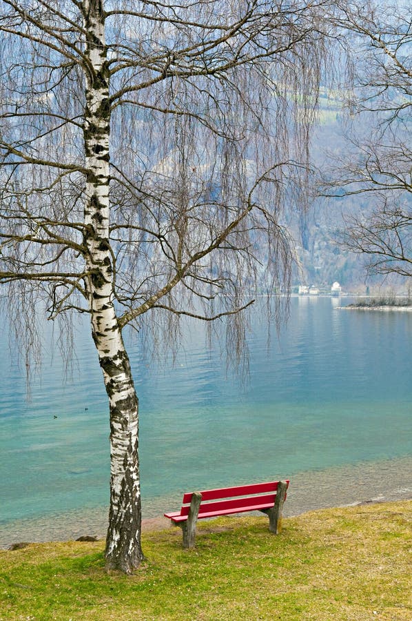 Single red bench under naked tree