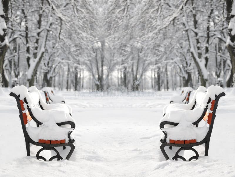 Red bench covered with snow