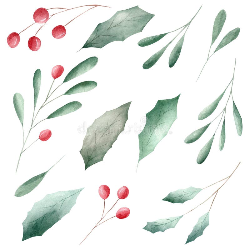 Red berries and green leaves watercolor clipart isolated on white background.