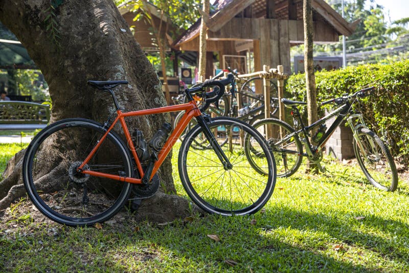 Red Bicycle Resting Next To a Tree in a Park Stock Photo Image of