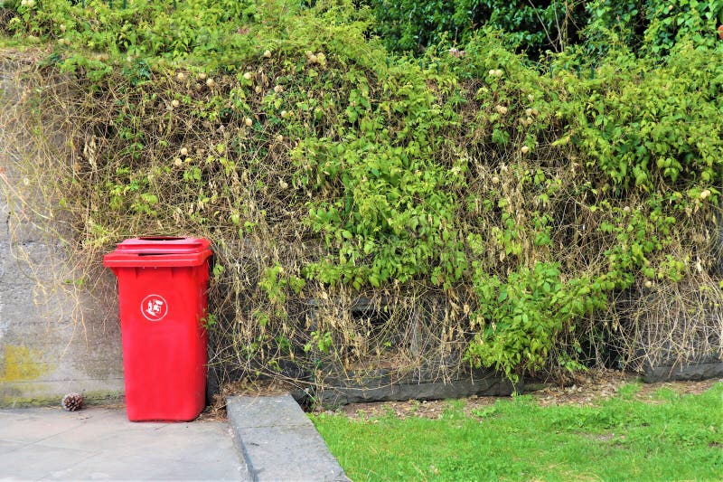 Red bin for medical waste stock photo. Image of disposable 145491968