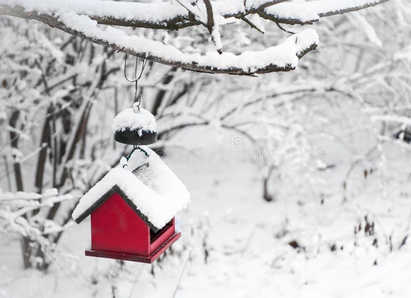 Red bird house covered with snow