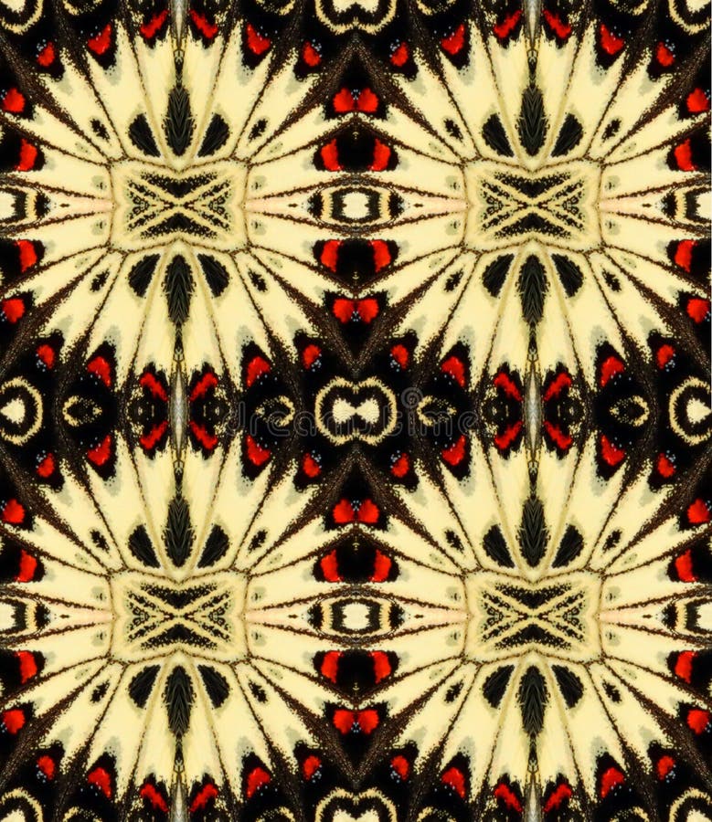 Red black butterfly Zerynthia wing background texture, beautiful pattern. Can use it for print, phone case, textile.