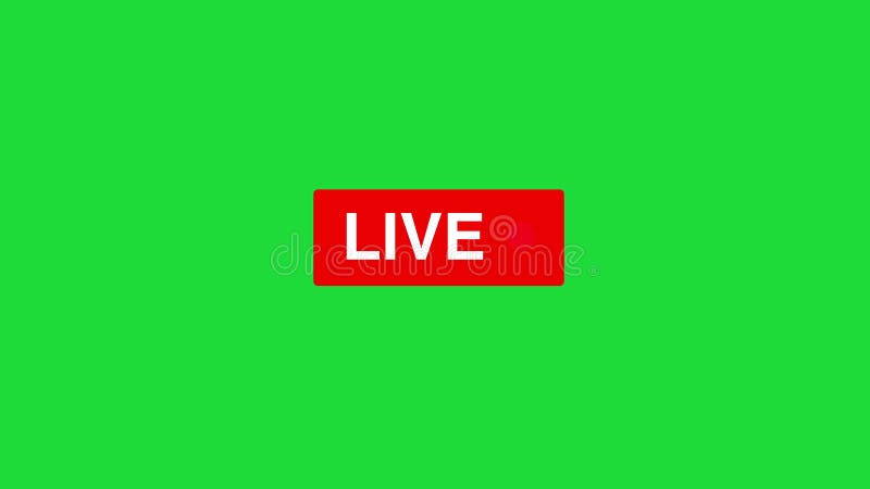 Red blinking live on air motion graphics animation green screen background stock video
