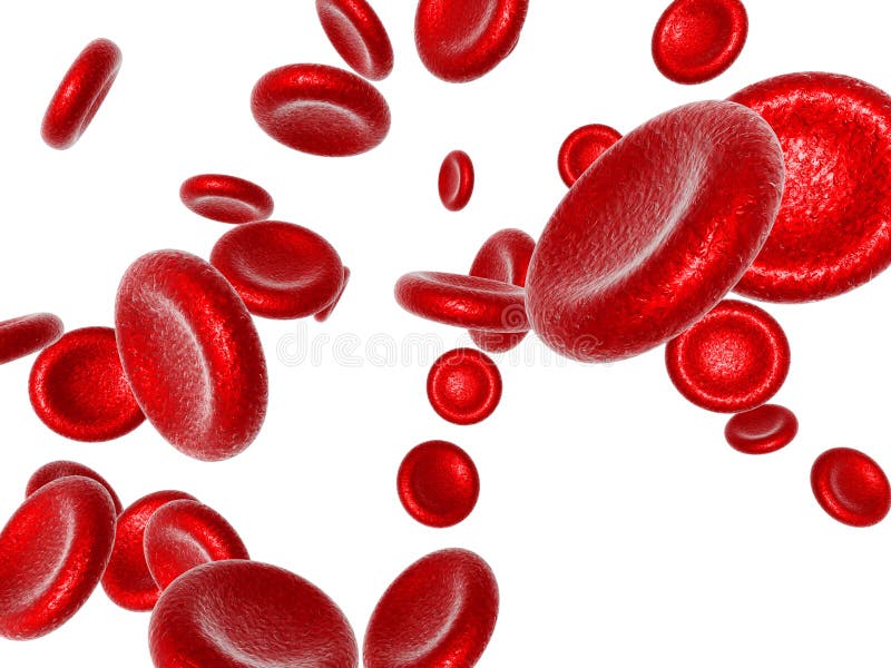 Red Blood Cell vector illustration Red Blood Cell vector illustration