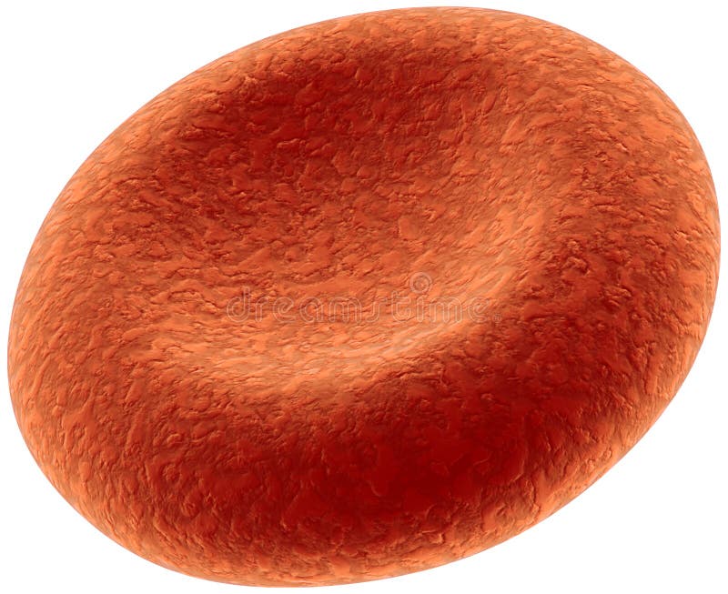 Red Blood Cell stock illustration Red Blood Cell stock illustration