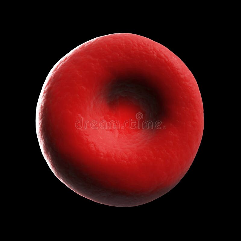Red blood cell royalty free illustration Red blood cell royalty free illustration