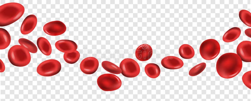 Tế bào máu đỏ đơn lẻ trên nền trắng là một hình ảnh khoa học đầy tính năng động. Nó gợi cho chúng ta cảm giác về sự vững chắc, can đảm và sức mạnh của những tế bào máu đỏ.
