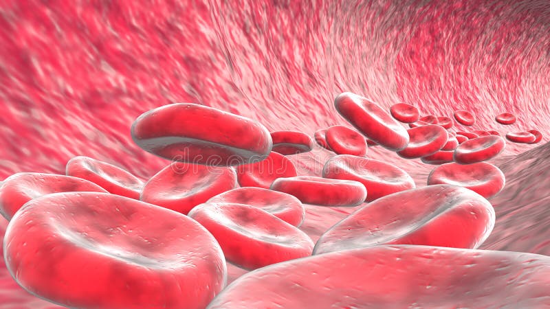 Červené krvinky v duchu ilustrácia.