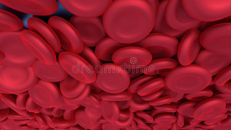 Red blood cells background. vector illustration