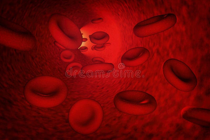 Red blood cells floating inside the artery. 3D illustration