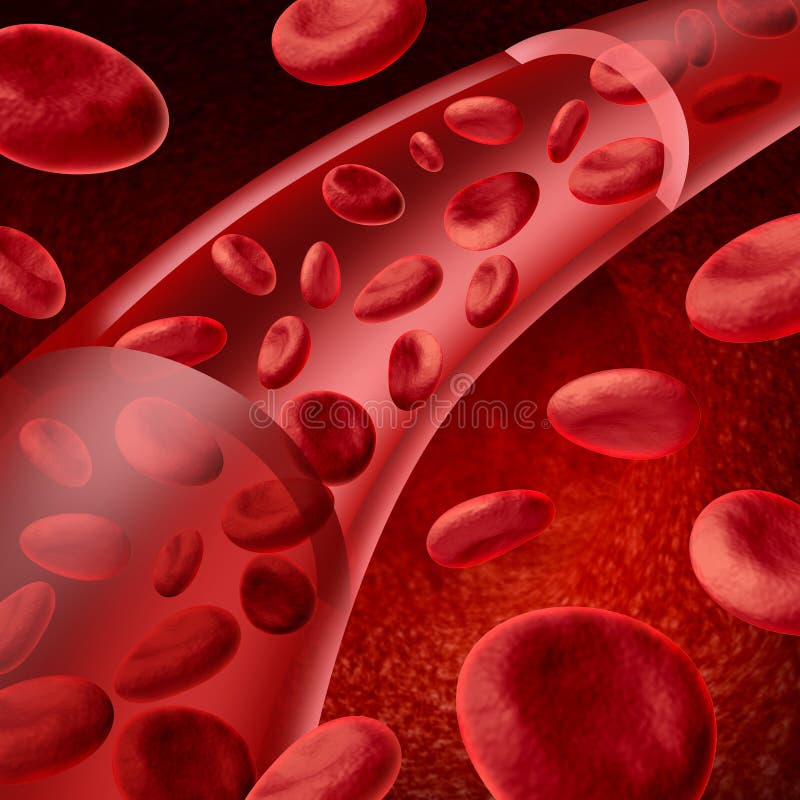 Red blood cells flowing vector illustration