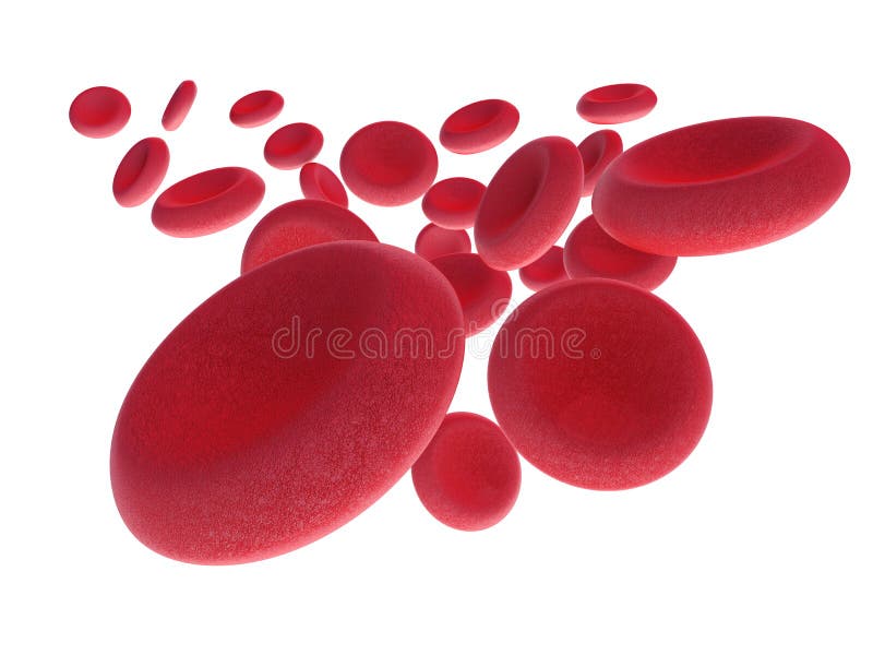 Red Blood Cells Flowing on white background vector illustration