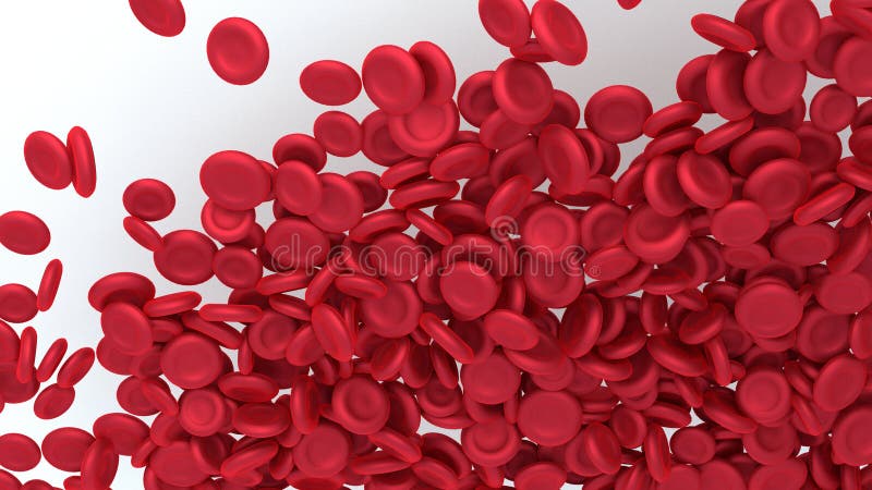 Red blood cells isolated on white background. stock illustration