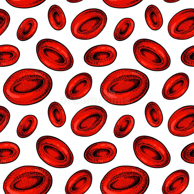 Red Blood Cell Stock Illustrations – 102 Red Blood Cell Sketch Stock Illustrations, & Clipart - Dreamstime