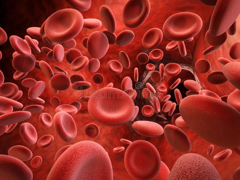 Red blood cells in vein